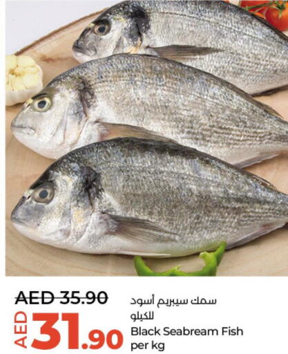 Tuna  in لولو هايبرماركت in الإمارات العربية المتحدة , الامارات - أبو ظبي