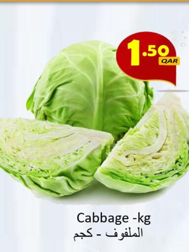  Cabbage  in مجموعة ريجنسي in قطر - الريان