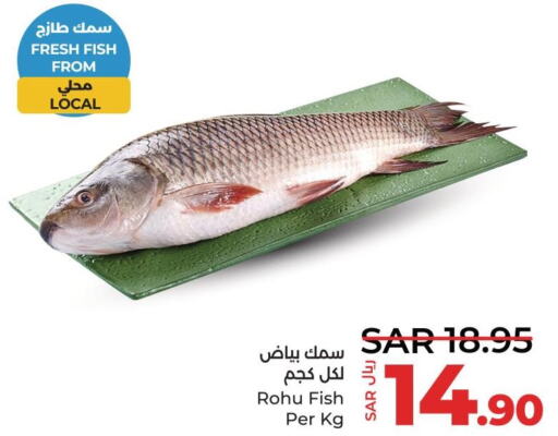 King Fish  in لولو هايبرماركت in مملكة العربية السعودية, السعودية, سعودية - القطيف‎
