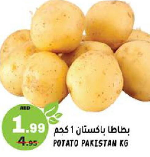 Potato  in هاشم هايبرماركت in الإمارات العربية المتحدة , الامارات - الشارقة / عجمان