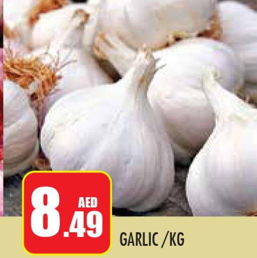  Garlic  in سنابل بني ياس in الإمارات العربية المتحدة , الامارات - أبو ظبي