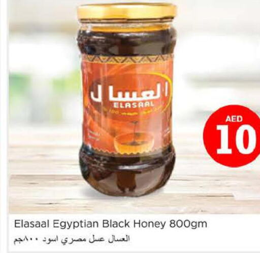  Honey  in نستو هايبرماركت in الإمارات العربية المتحدة , الامارات - ٱلْعَيْن‎