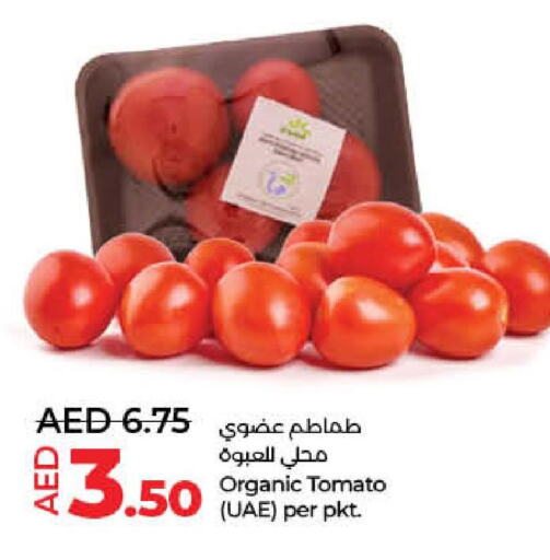 Tomato  in لولو هايبرماركت in الإمارات العربية المتحدة , الامارات - أم القيوين‎