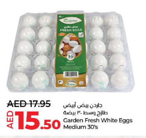 AL SAFA   in Lulu Hypermarket in UAE - Fujairah