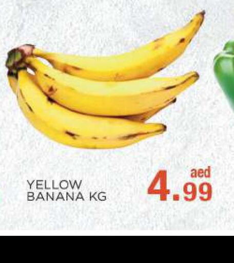  Banana  in C.M. supermarket in UAE - Abu Dhabi