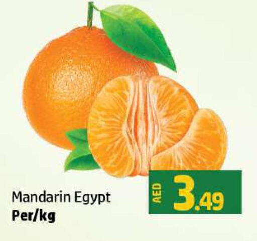  Orange  in الحوت  in الإمارات العربية المتحدة , الامارات - رَأْس ٱلْخَيْمَة