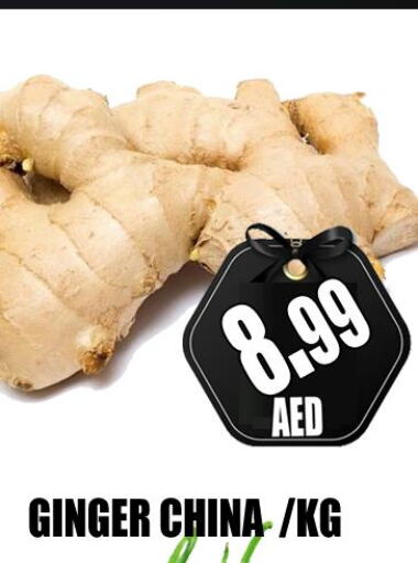  Ginger  in GRAND MAJESTIC HYPERMARKET in UAE - Abu Dhabi