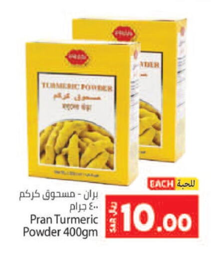 PRAN Spices / Masala  in Kabayan Hypermarket in KSA, Saudi Arabia, Saudi - Jeddah