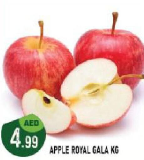  Apples  in Azhar Al Madina Hypermarket in UAE - Abu Dhabi
