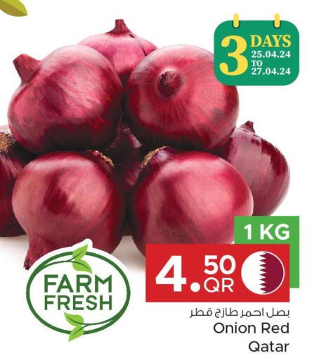  Onion  in مركز التموين العائلي in قطر - الوكرة