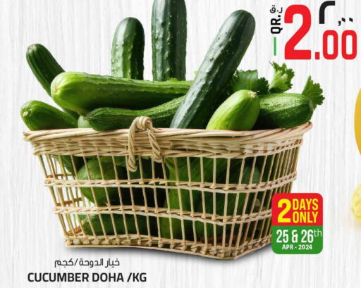  Cucumber  in Saudia Hypermarket in Qatar - Al Shamal