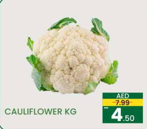  Cauliflower  in مدهور سوبرماركت in الإمارات العربية المتحدة , الامارات - دبي