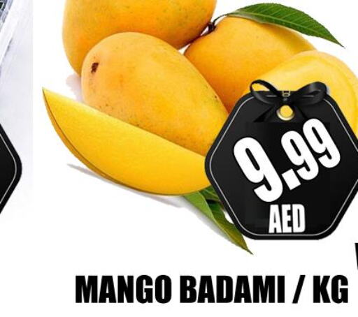 Mango   in GRAND MAJESTIC HYPERMARKET in الإمارات العربية المتحدة , الامارات - أبو ظبي