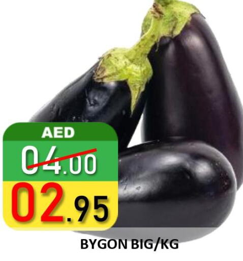  Cabbage  in ROYAL GULF HYPERMARKET LLC in UAE - Abu Dhabi