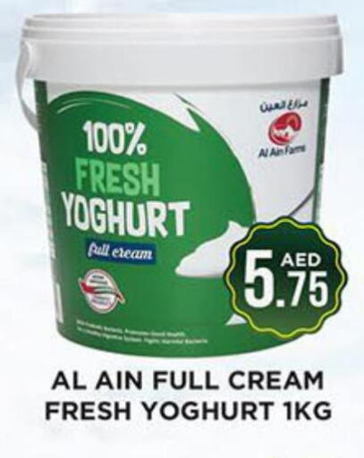 AL AIN Yoghurt  in Ainas Al madina hypermarket in UAE - Sharjah / Ajman