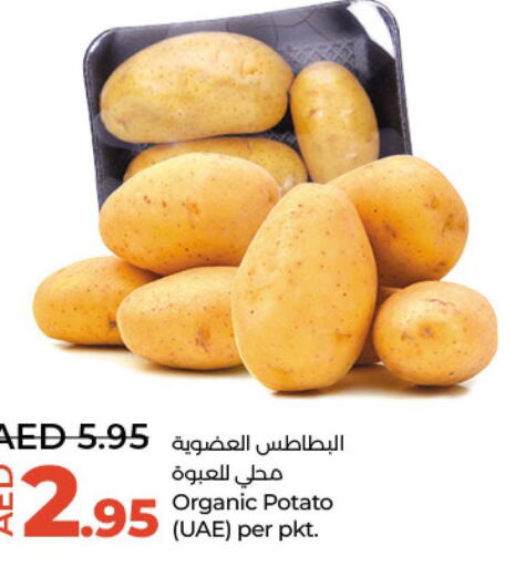  Potato  in لولو هايبرماركت in الإمارات العربية المتحدة , الامارات - أبو ظبي