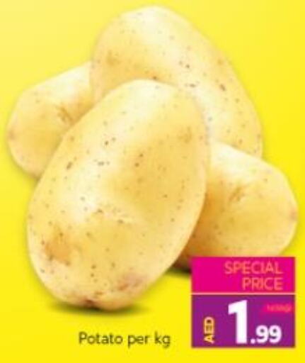  Potato  in Seven Emirates Supermarket in UAE - Abu Dhabi