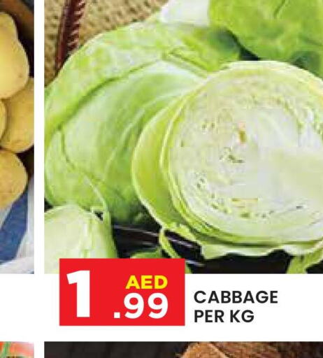  Cabbage  in سنابل بني ياس in الإمارات العربية المتحدة , الامارات - أبو ظبي