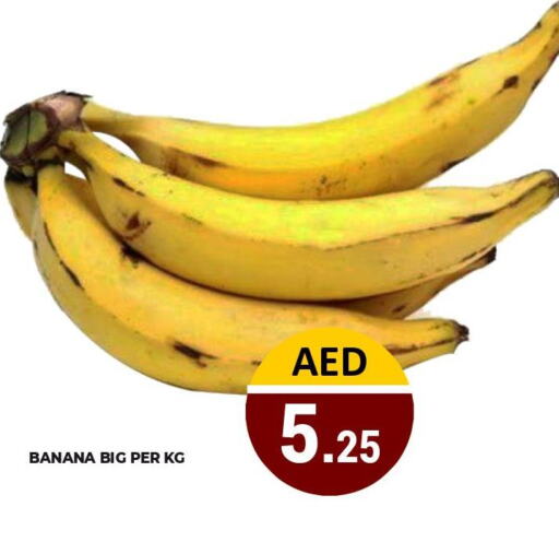  Banana  in كيرالا هايبرماركت in الإمارات العربية المتحدة , الامارات - رَأْس ٱلْخَيْمَة