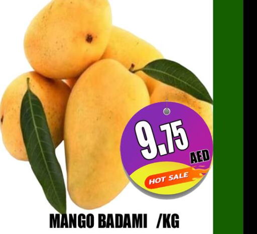 Mango   in هايبرماركت مجستك بلس in الإمارات العربية المتحدة , الامارات - أبو ظبي