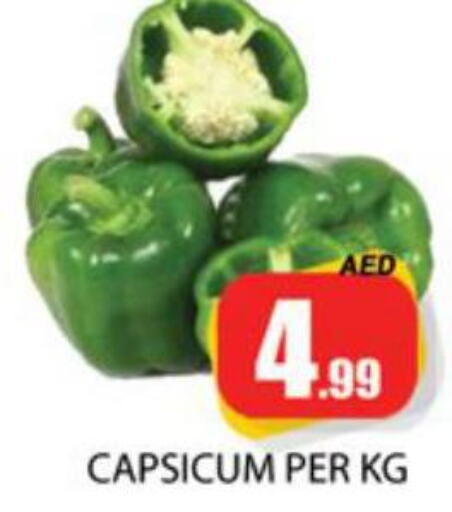  Chilli / Capsicum  in Zain Mart Supermarket in UAE - Ras al Khaimah