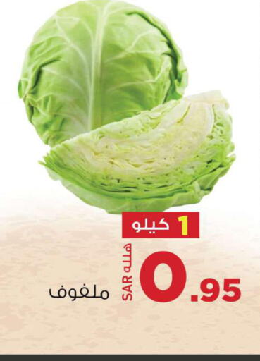  Cabbage  in مخازن سوبرماركت in مملكة العربية السعودية, السعودية, سعودية - الرياض