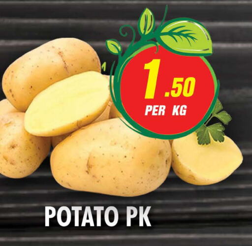  Potato  in نايت تو نايت in الإمارات العربية المتحدة , الامارات - الشارقة / عجمان