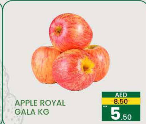  Apples  in مدهور سوبرماركت in الإمارات العربية المتحدة , الامارات - الشارقة / عجمان