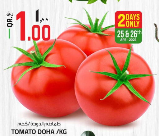  Tomato  in السعودية in قطر - الخور