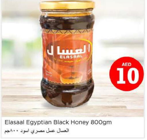  Honey  in نستو هايبرماركت in الإمارات العربية المتحدة , الامارات - دبي