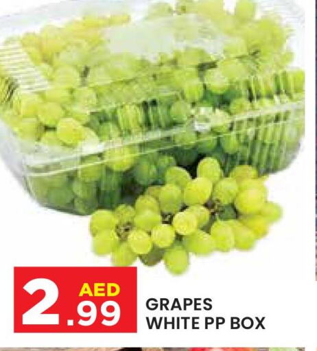  Grapes  in سنابل بني ياس in الإمارات العربية المتحدة , الامارات - ٱلْعَيْن‎