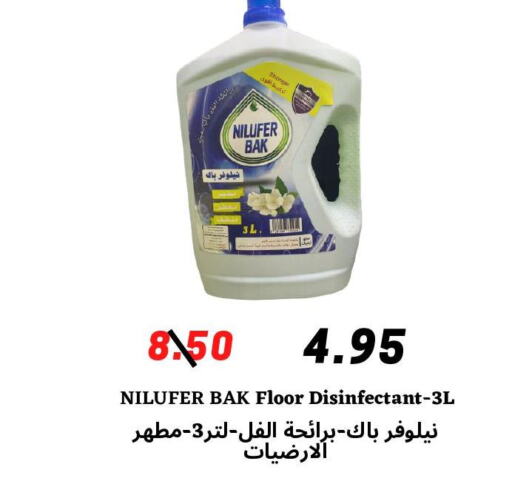 Disinfectant  in Arab Wissam Markets in KSA, Saudi Arabia, Saudi - Riyadh