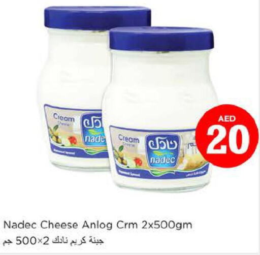 NADEC Cream Cheese  in Nesto Hypermarket in UAE - Al Ain