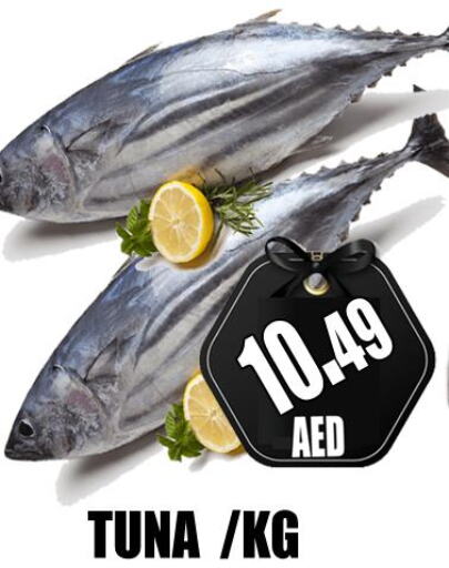  Tuna  in GRAND MAJESTIC HYPERMARKET in الإمارات العربية المتحدة , الامارات - أبو ظبي