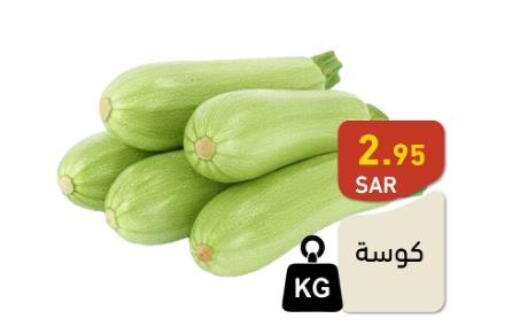 Zucchini  in Aswaq Ramez in KSA, Saudi Arabia, Saudi - Tabuk
