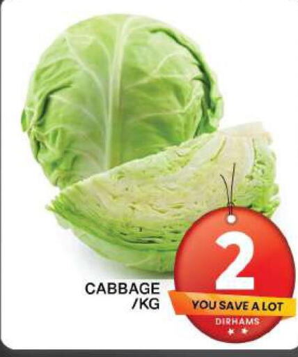  Cabbage  in جراند هايبر ماركت in الإمارات العربية المتحدة , الامارات - دبي