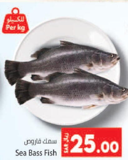  Tuna  in Kabayan Hypermarket in KSA, Saudi Arabia, Saudi - Jeddah