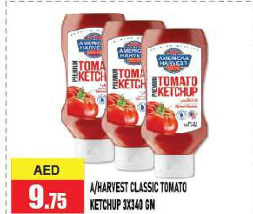 AMERICAN HARVEST Tomato Ketchup  in Azhar Al Madina Hypermarket in UAE - Abu Dhabi