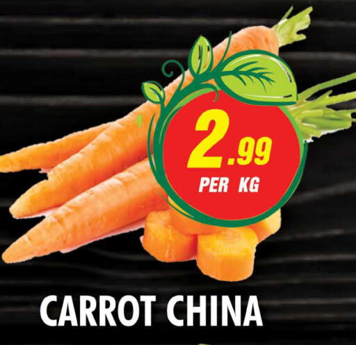  Carrot  in NIGHT TO NIGHT DEPARTMENT STORE in UAE - Sharjah / Ajman