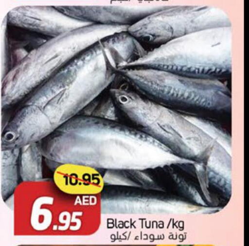  Tuna  in سوق المبارك هايبرماركت in الإمارات العربية المتحدة , الامارات - الشارقة / عجمان