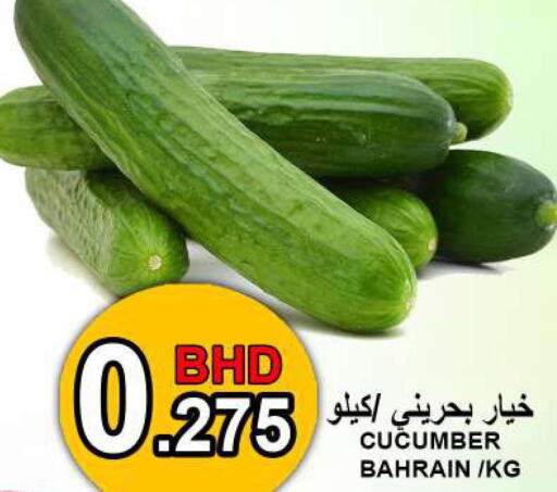  Cucumber  in Hassan Mahmood Group in Bahrain