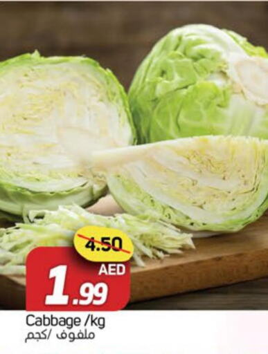  Cabbage  in سوق المبارك هايبرماركت in الإمارات العربية المتحدة , الامارات - الشارقة / عجمان