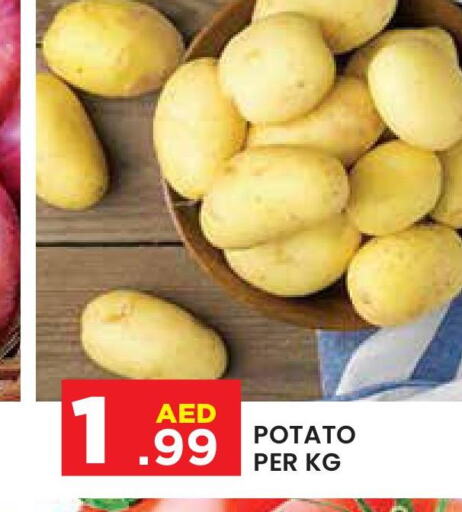  Potato  in سنابل بني ياس in الإمارات العربية المتحدة , الامارات - ٱلْعَيْن‎