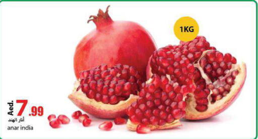  Pomegranate  in  روابي ماركت عجمان in الإمارات العربية المتحدة , الامارات - الشارقة / عجمان