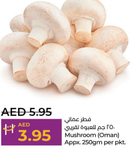  Mushroom  in لولو هايبرماركت in الإمارات العربية المتحدة , الامارات - أبو ظبي