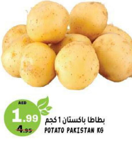  Potato  in Hashim Hypermarket in UAE - Sharjah / Ajman