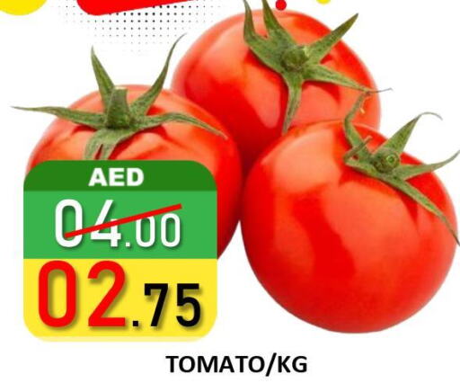  Tomato  in ROYAL GULF HYPERMARKET LLC in UAE - Abu Dhabi