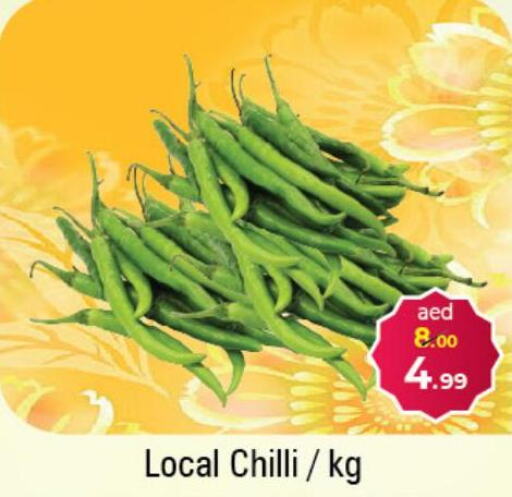  Chilli / Capsicum  in سوق المبارك هايبرماركت in الإمارات العربية المتحدة , الامارات - الشارقة / عجمان