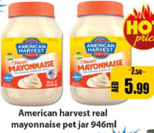AMERICAN HARVEST Mayonnaise  in ليبتس هايبرماركت in الإمارات العربية المتحدة , الامارات - رَأْس ٱلْخَيْمَة