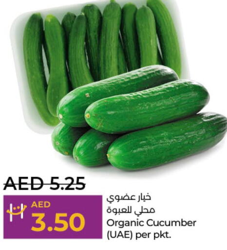  Cucumber  in لولو هايبرماركت in الإمارات العربية المتحدة , الامارات - أبو ظبي